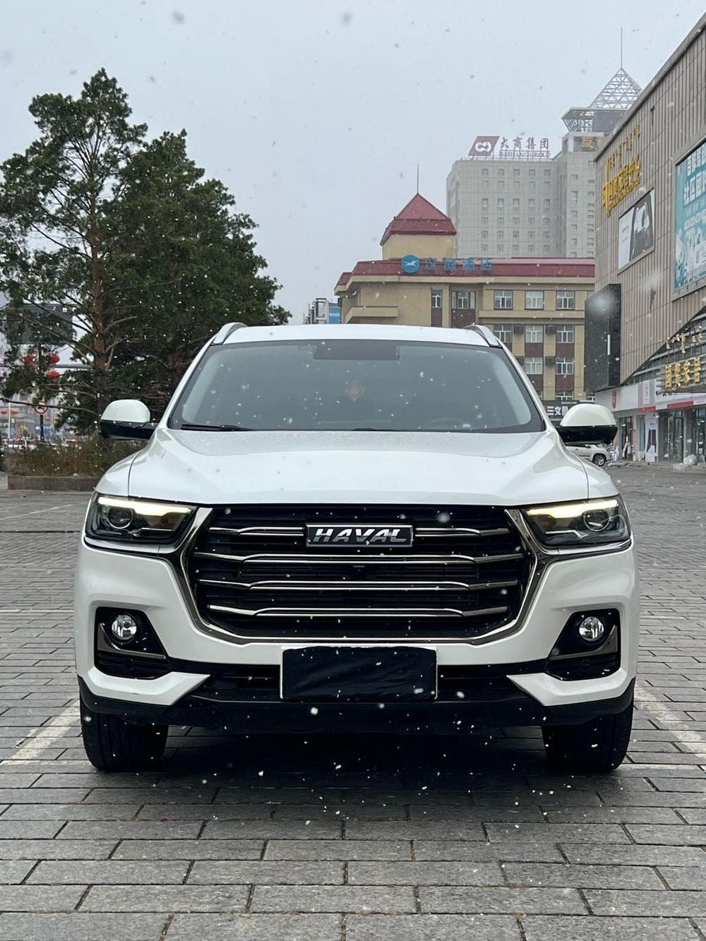 Haval H6 2021 — фото автомобиля 1