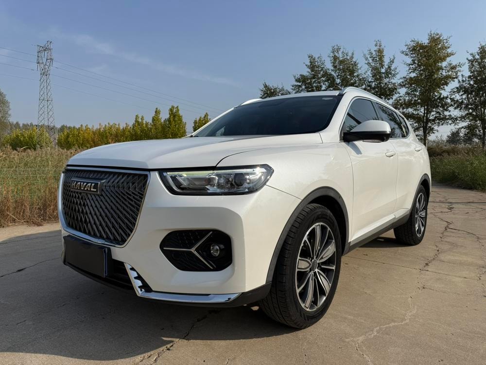 Haval H6 2021 — фото автомобиля