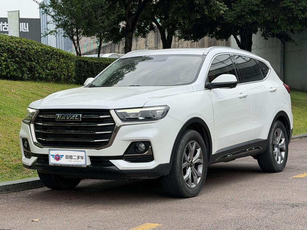 Haval H6 2021 — фото автомобиля