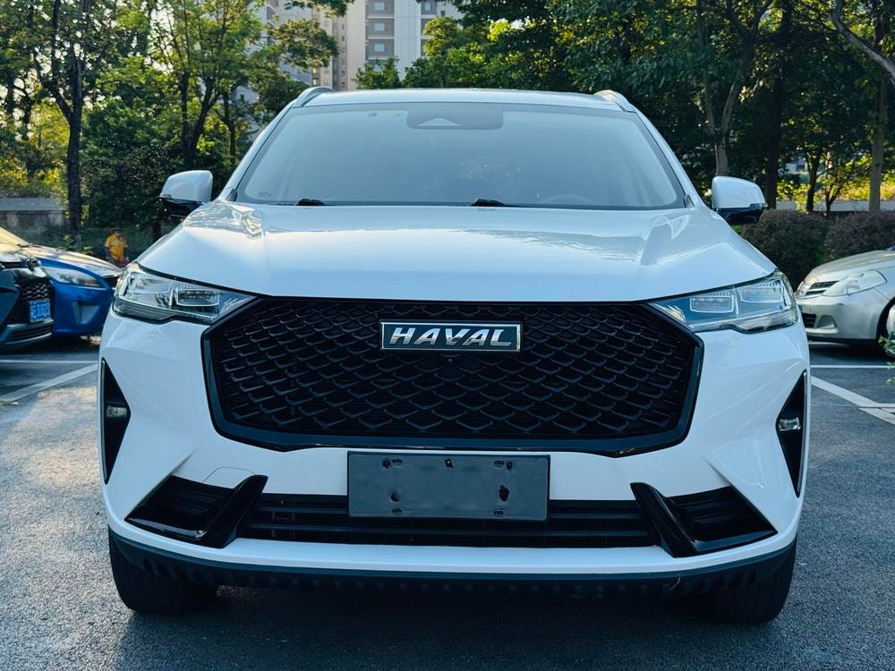 Haval H6 2021 — фото автомобиля