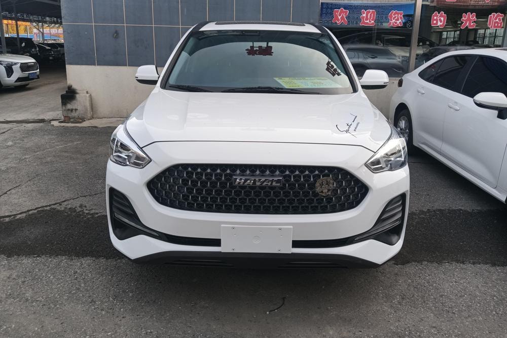 Haval M6 2019 — фото автомобиля