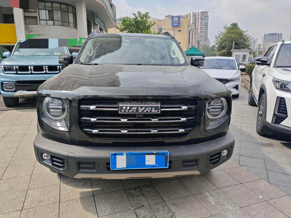 Haval 长城大狗 2021 — фото автомобиля