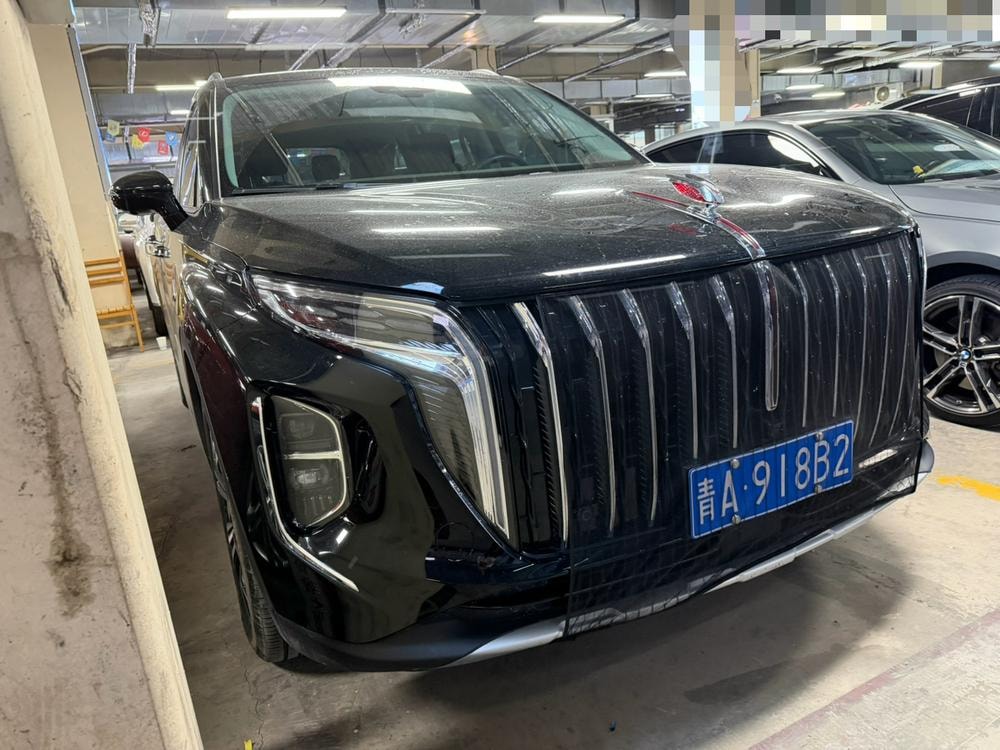 Hongqi HS7 2023 — фото автомобиля 1