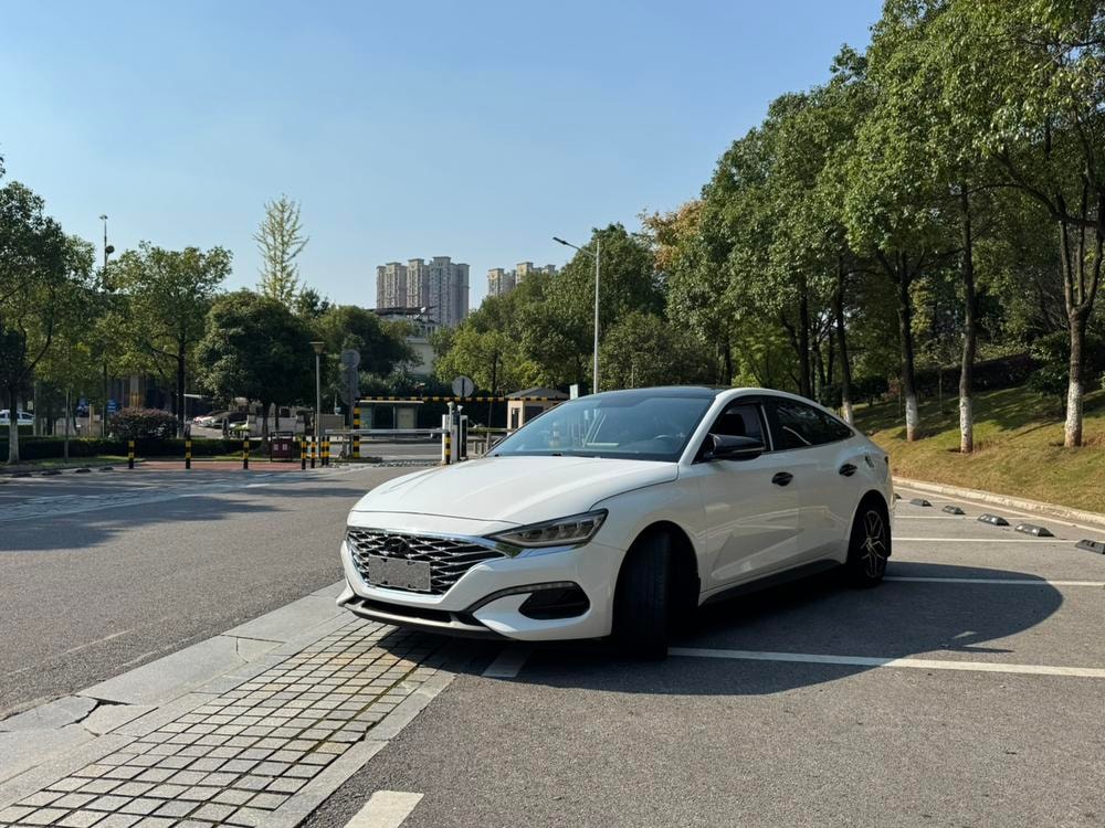 Hyundai Lafesta 2019 — фото автомобиля 1