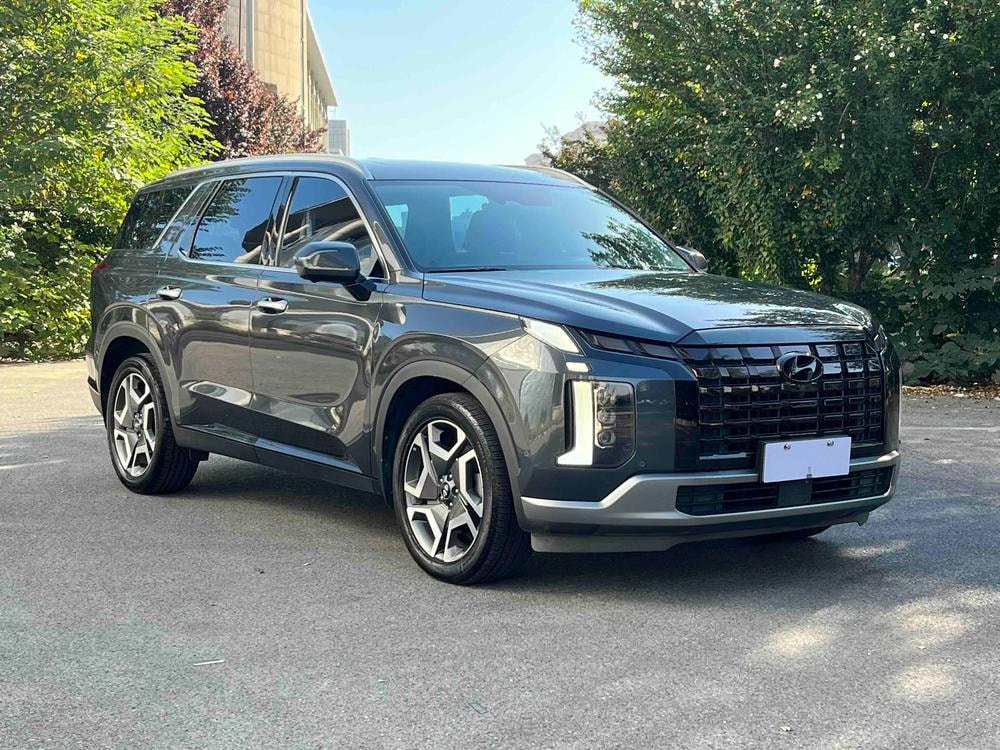 Hyundai Palisade 2023 — фото автомобиля