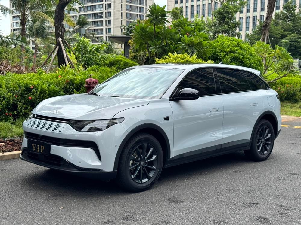 Leapmotor C11 2024 — фото автомобиля 1