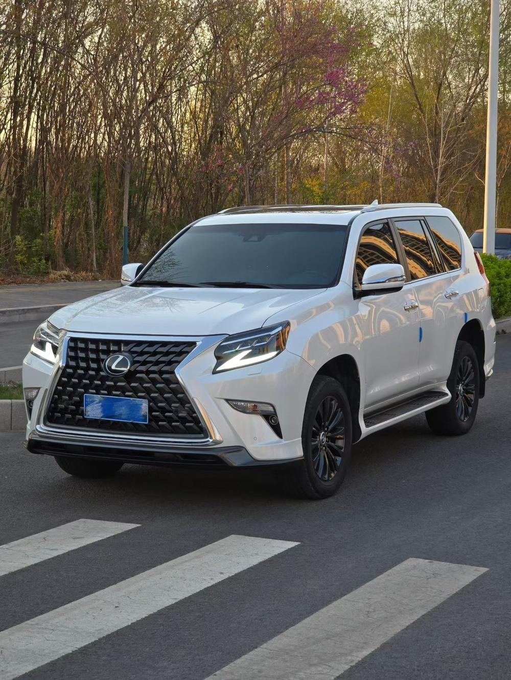 Lexus GX 2023 — фото автомобиля