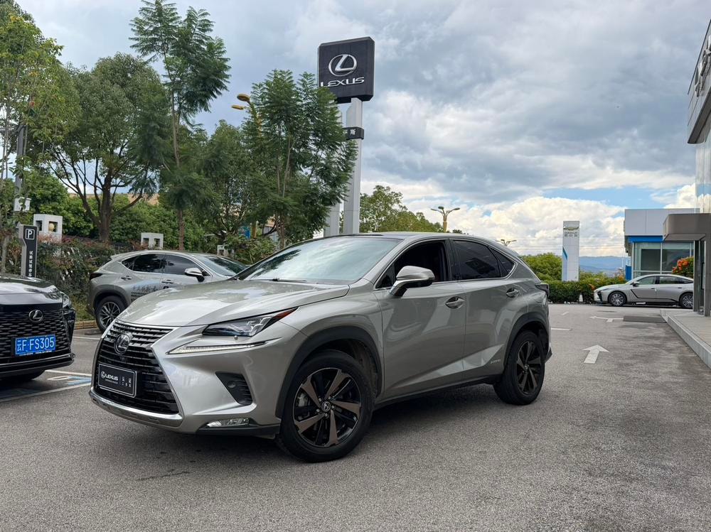 Lexus NX 2020 — фото автомобиля