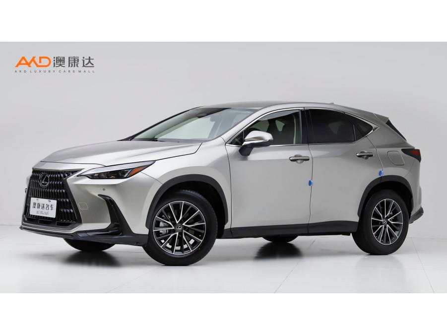 Lexus NX 2022 — фото автомобиля 1