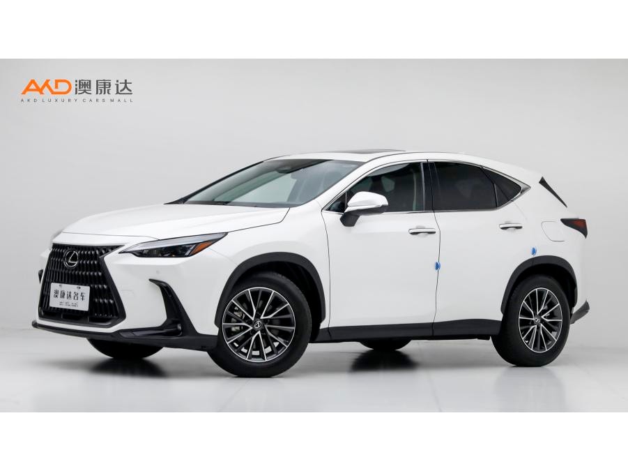Lexus NX 2024 — фото автомобиля 1