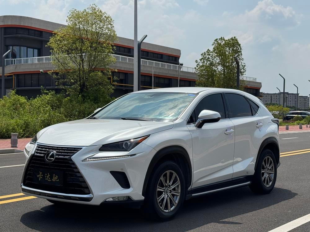 Lexus NX 2020 — фото автомобиля