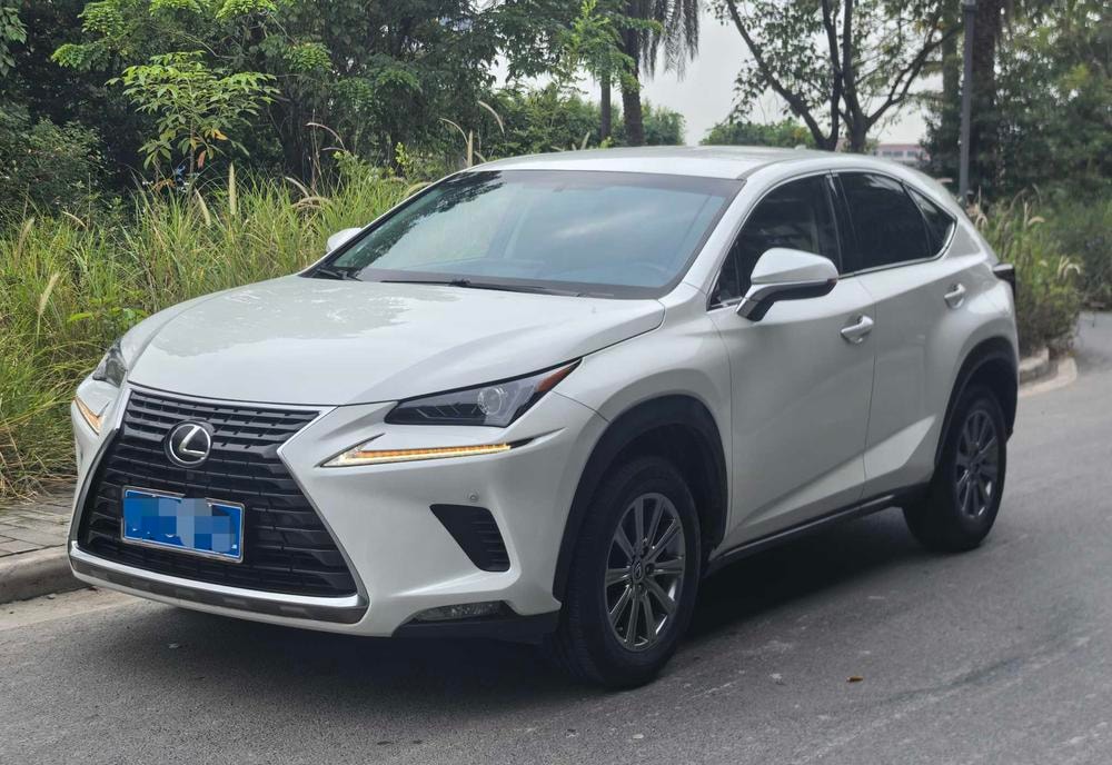 Lexus NX 2018 — фото автомобиля 1