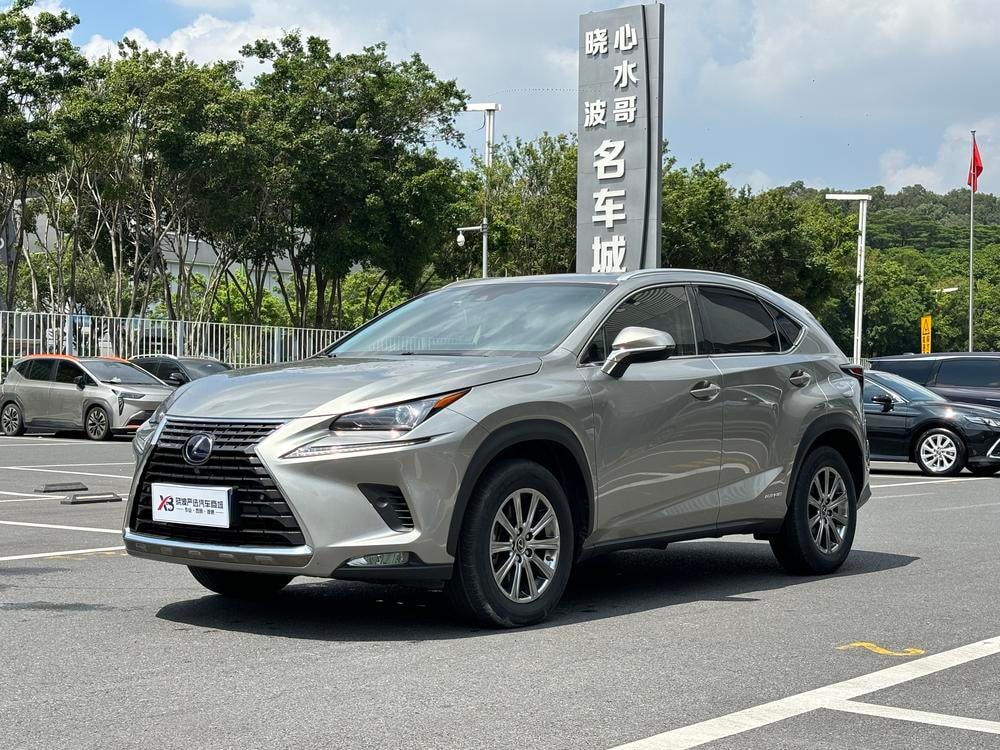 Lexus NX 2020 — фото автомобиля