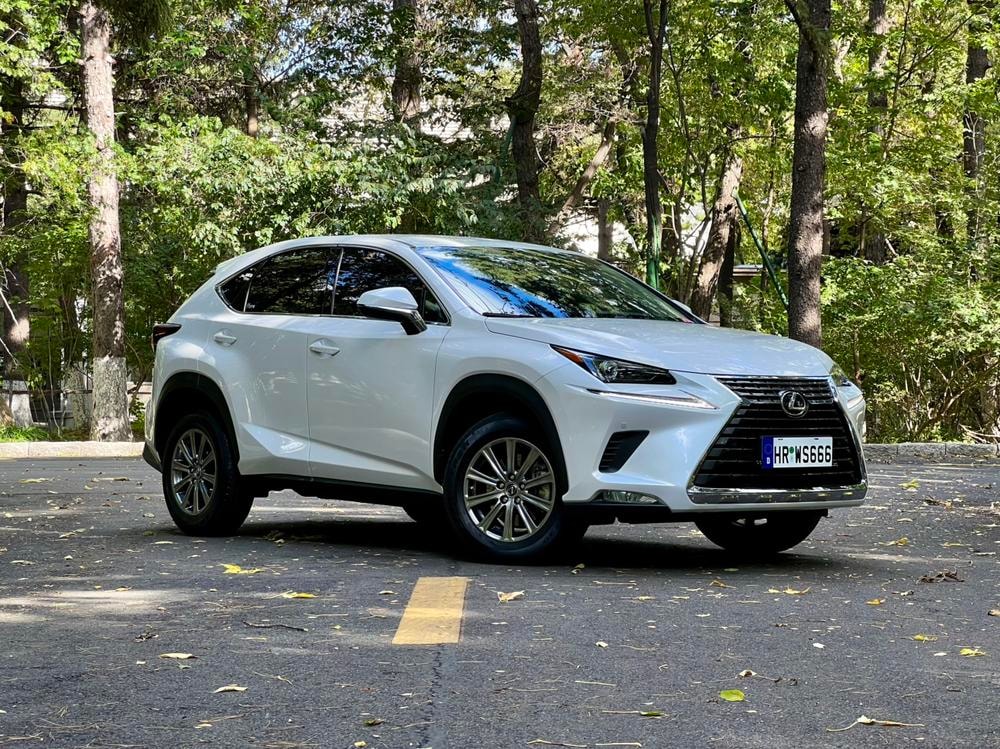 Lexus NX 2020 — фото автомобиля 1