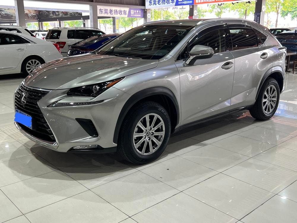 Lexus NX 2020 — фото автомобиля 1