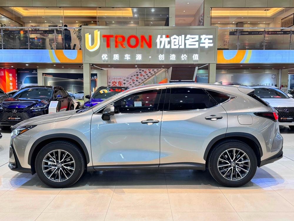 Lexus NX 2023 — фото автомобиля 1