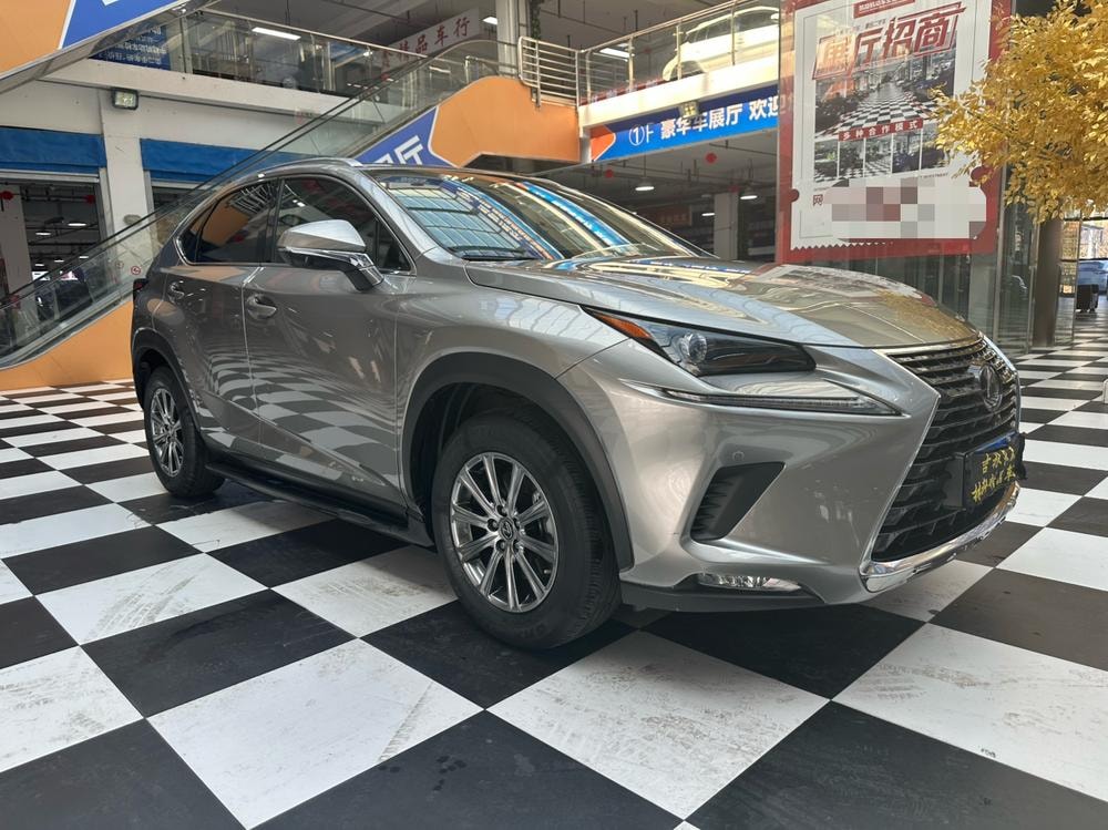 Lexus NX 2020 — фото автомобиля