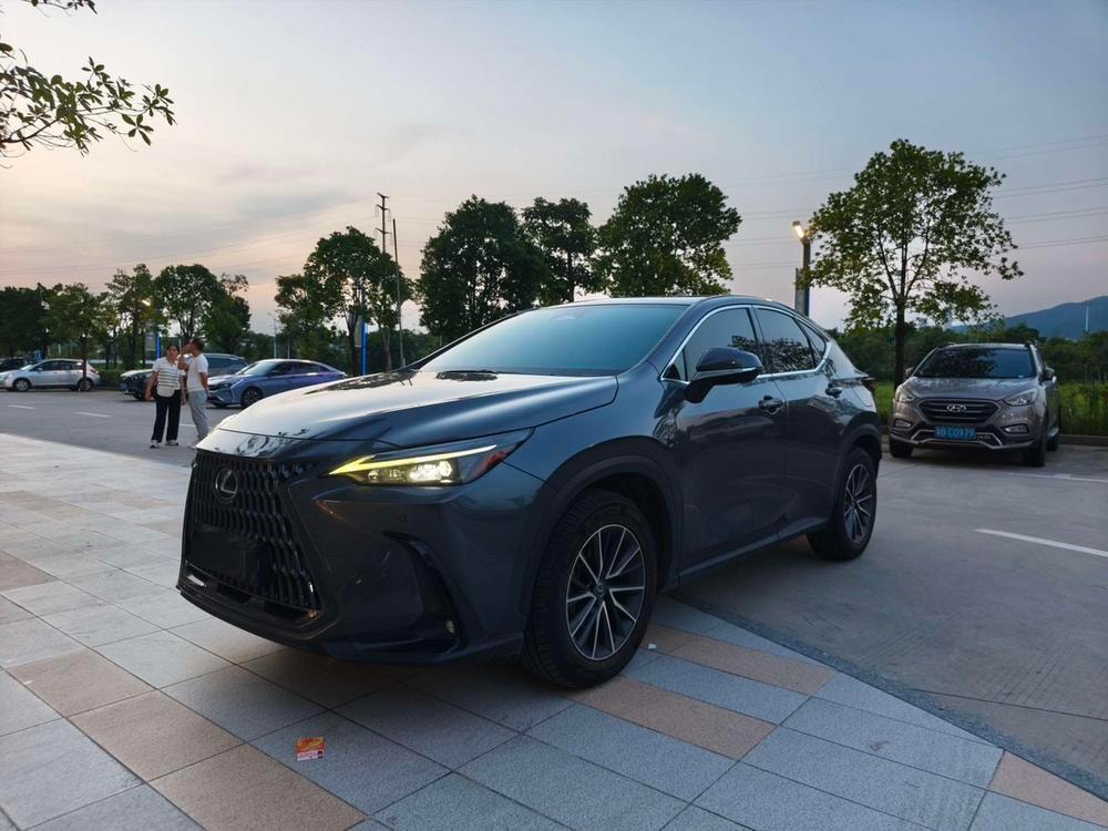 Lexus NX 2022 — фото автомобиля