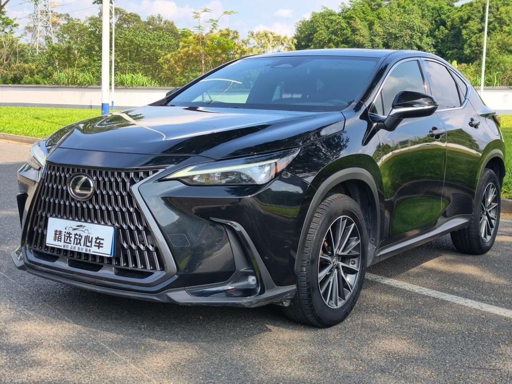 Lexus NX 2022 — фото автомобиля