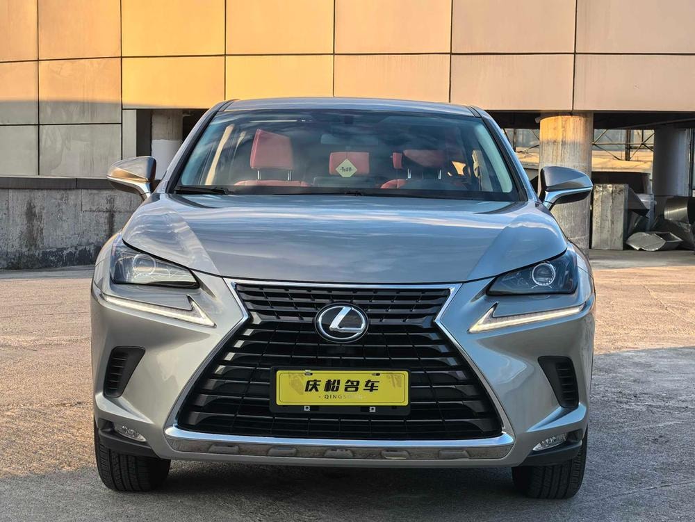 Lexus NX 2020 — фото автомобиля
