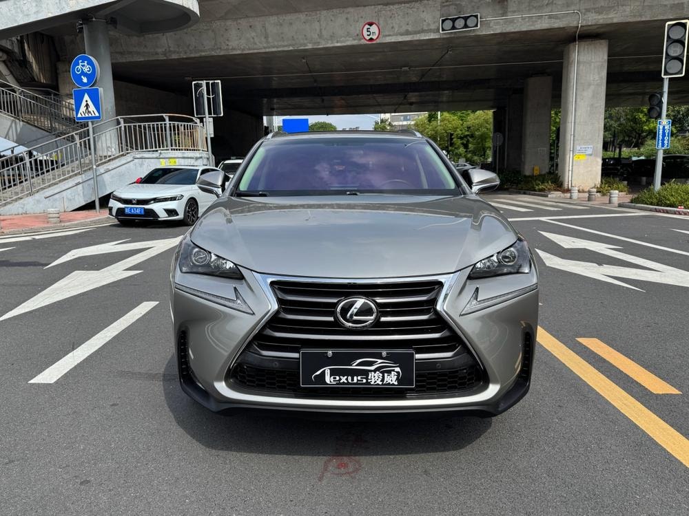 Lexus NX 2015 — фото автомобиля 1
