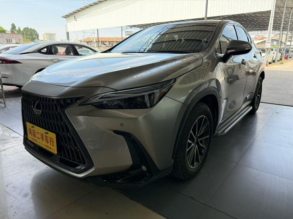 Lexus NX 2024 — фото автомобиля 1