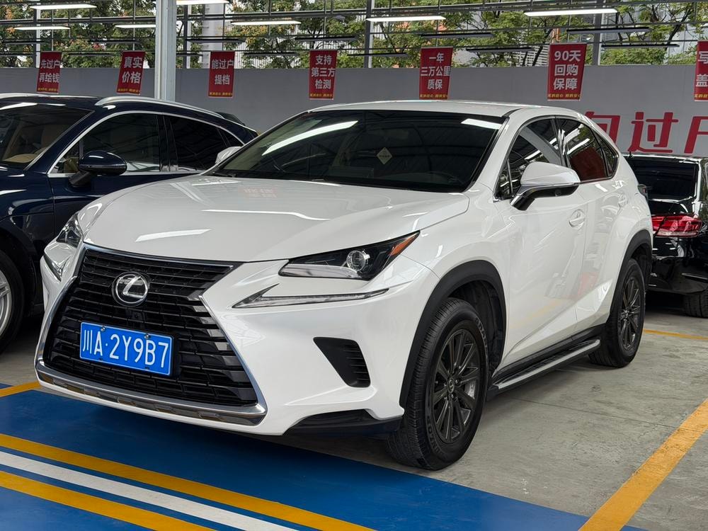 Lexus NX 2018 — фото автомобиля 1