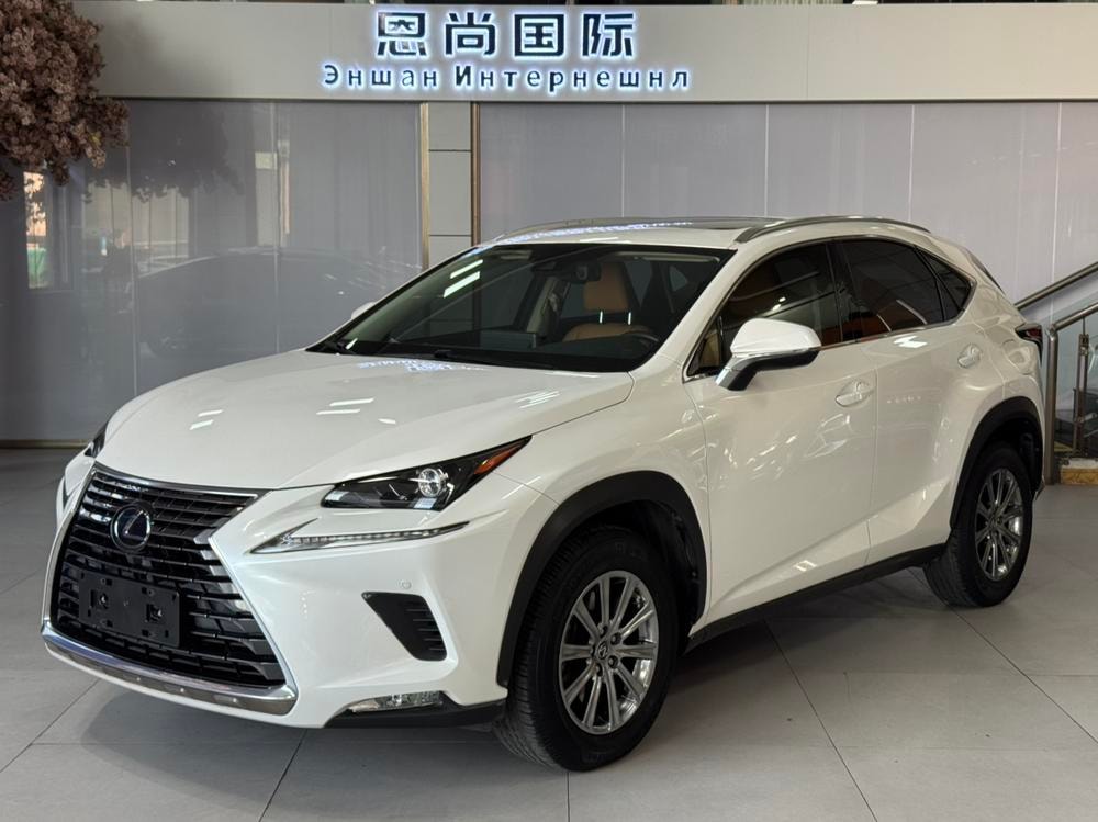 Lexus NX 2020 — фото автомобиля 1