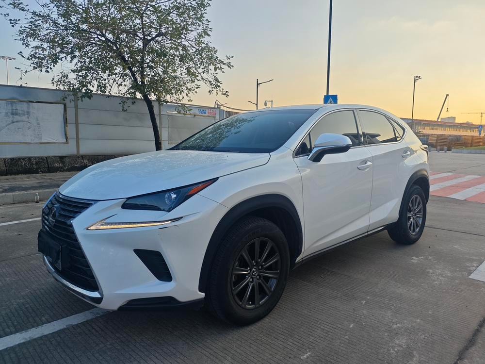 Lexus NX 2017 — фото автомобиля 1