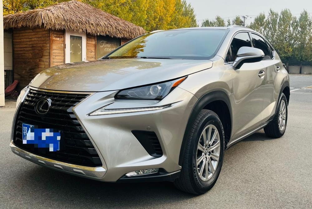 Lexus NX 2020 — фото автомобиля 1