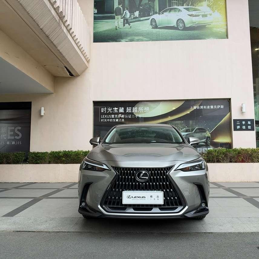 Lexus NX 2024 — фото автомобиля 1