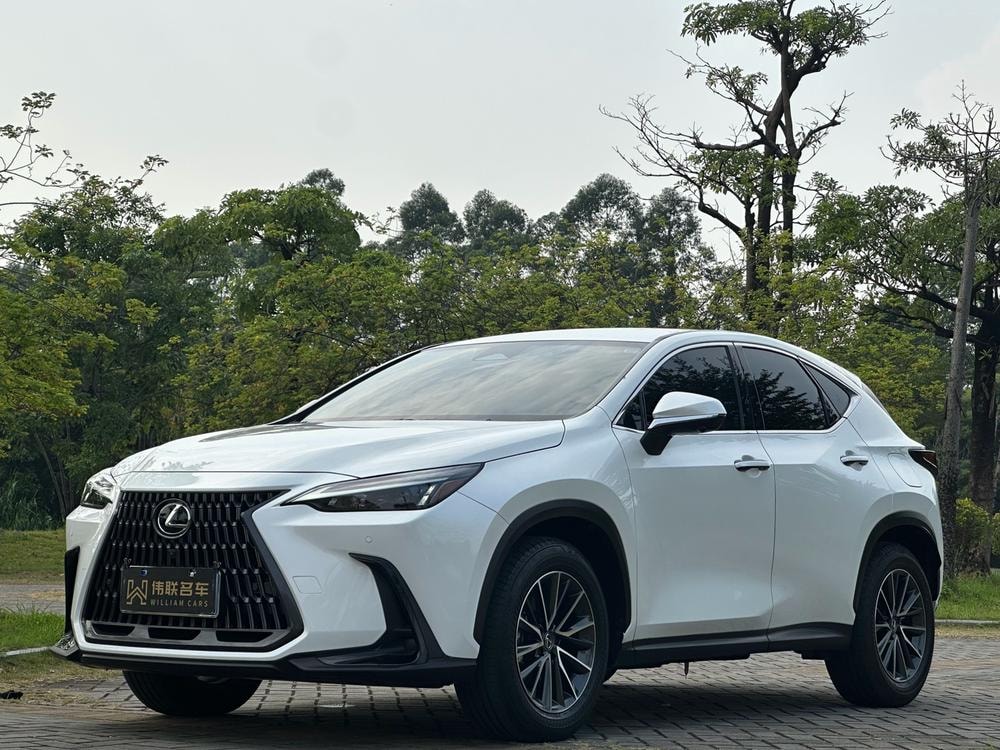 Lexus NX 2024 — фото автомобиля