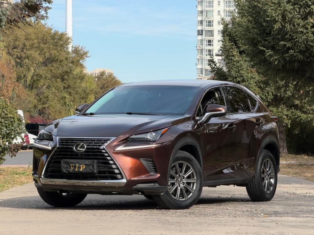 Lexus NX 2018 — фото автомобиля