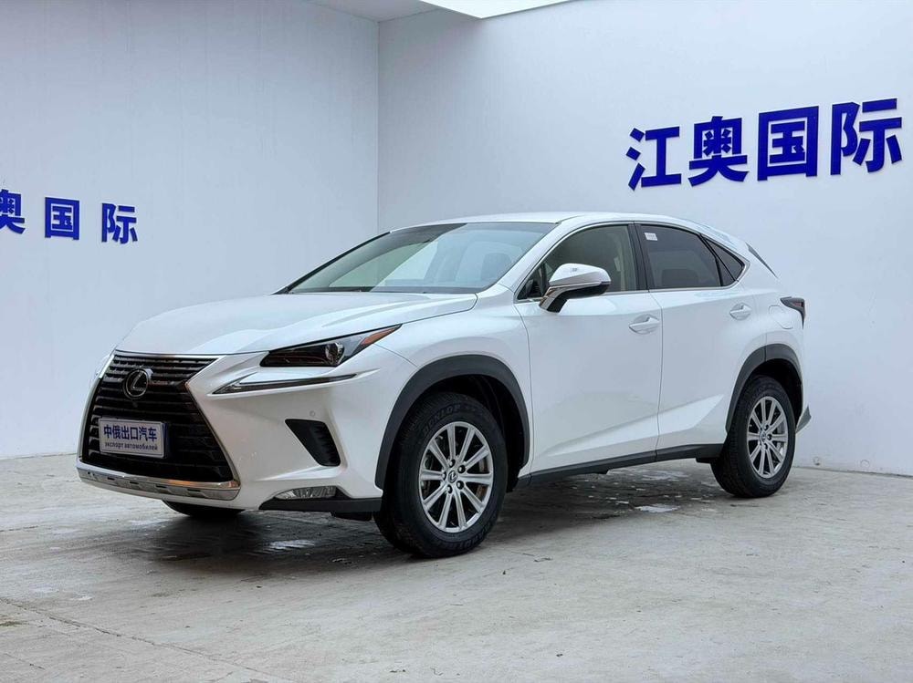 Lexus NX 2020 — фото автомобиля