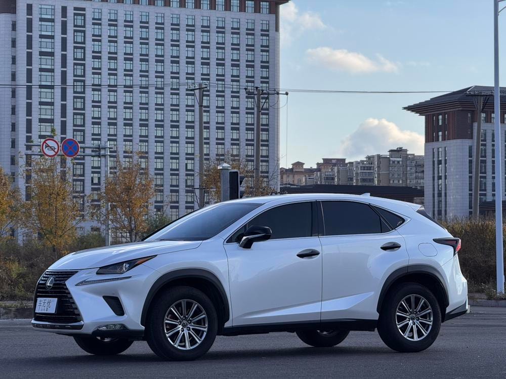 Lexus NX 2020 — фото автомобиля