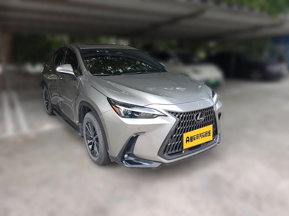 Lexus NX 2022 — фото автомобиля