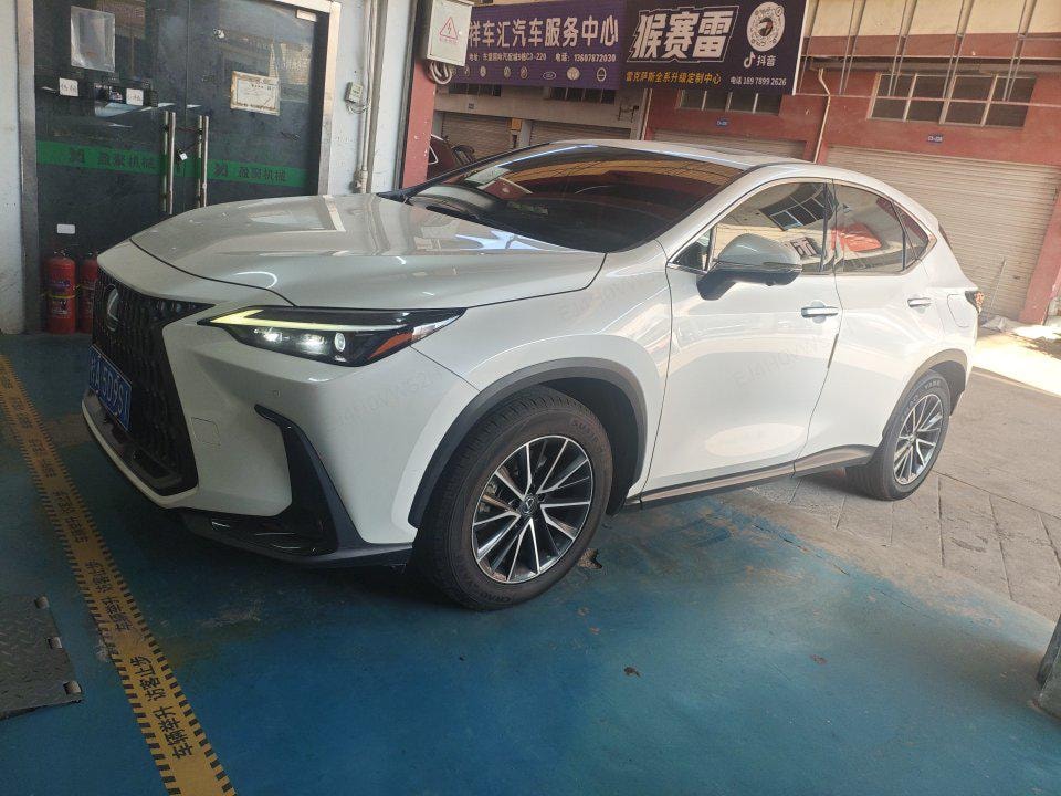 Lexus NX 2022 — фото автомобиля