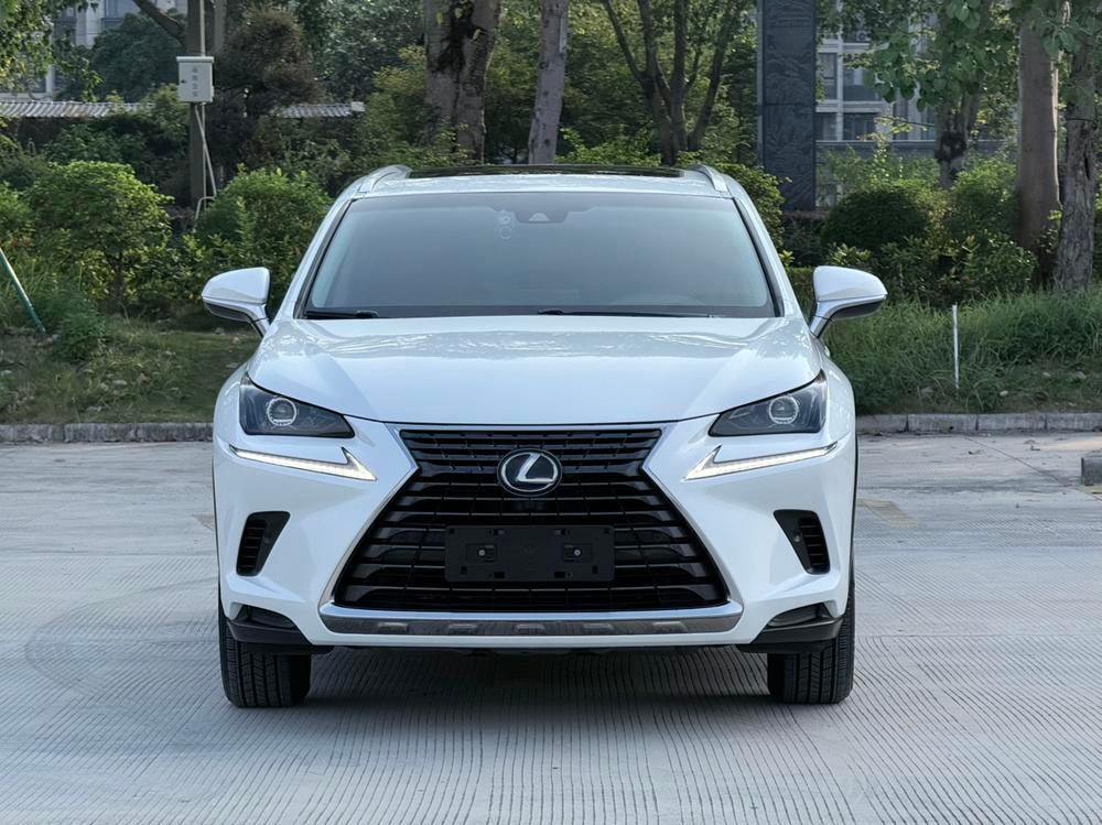 Lexus NX 2018 — фото автомобиля