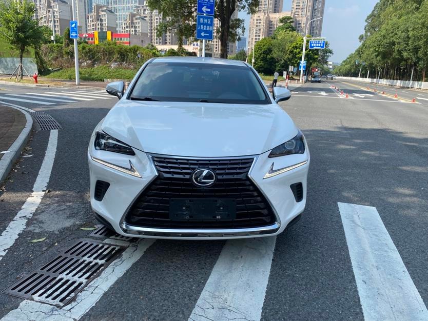 Lexus NX 2018 — фото автомобиля 1