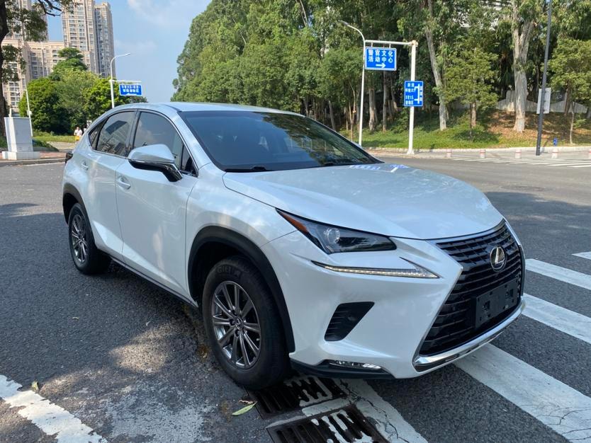 Lexus NX 2018 — фото автомобиля