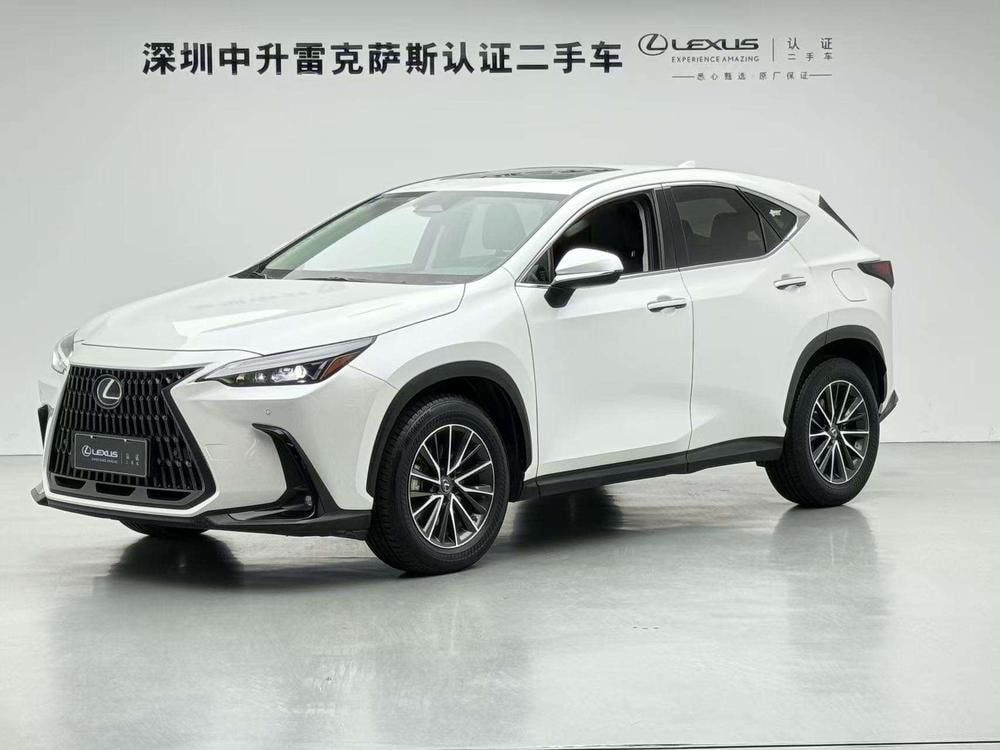 Lexus NX PHEV 2022 — фото автомобиля