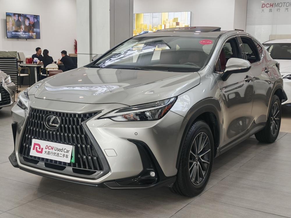 Lexus NX PHEV 2022 — фото автомобиля 1