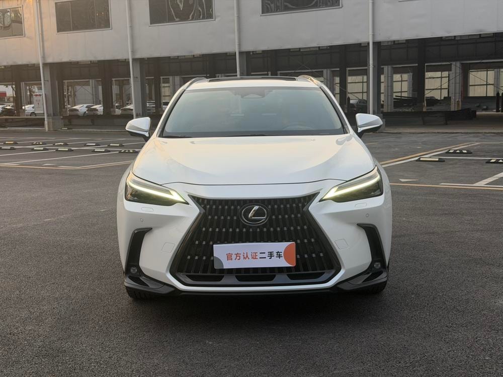 Lexus NX PHEV 2022 — фото автомобиля