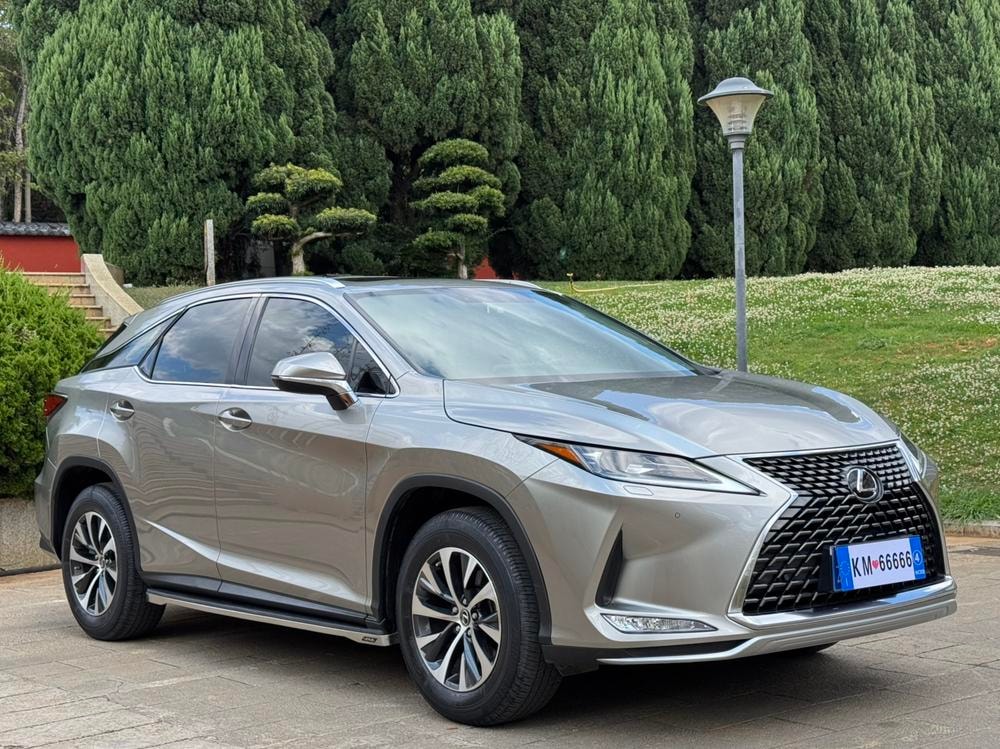Lexus RX 2020 — фото автомобиля 1