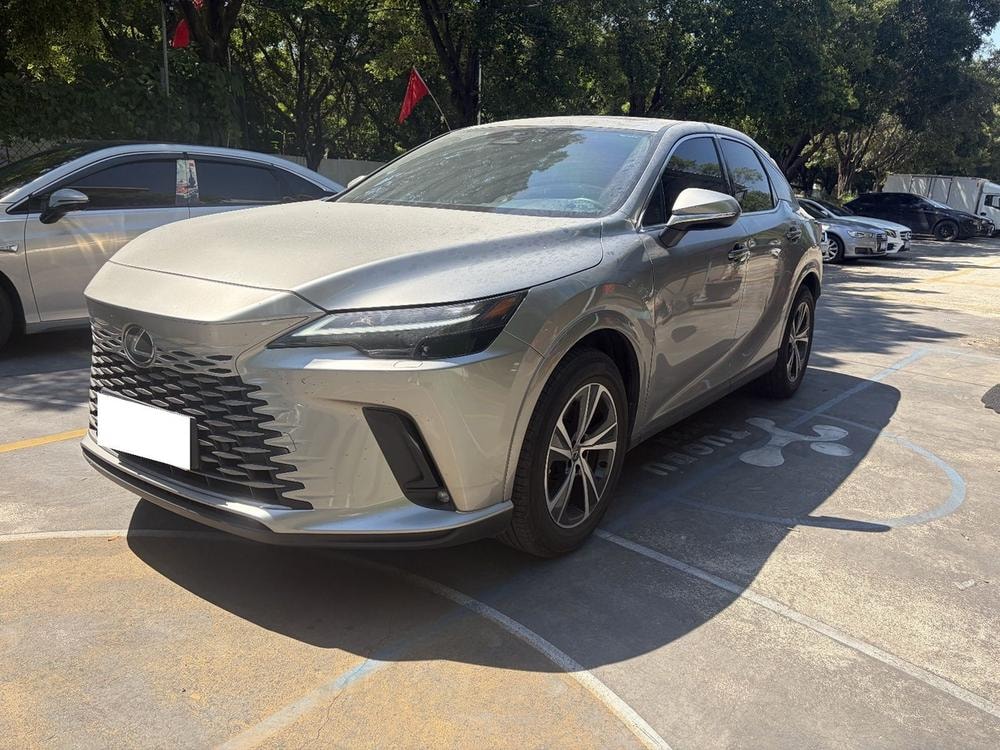 Lexus RX 2023 — фото автомобиля 1