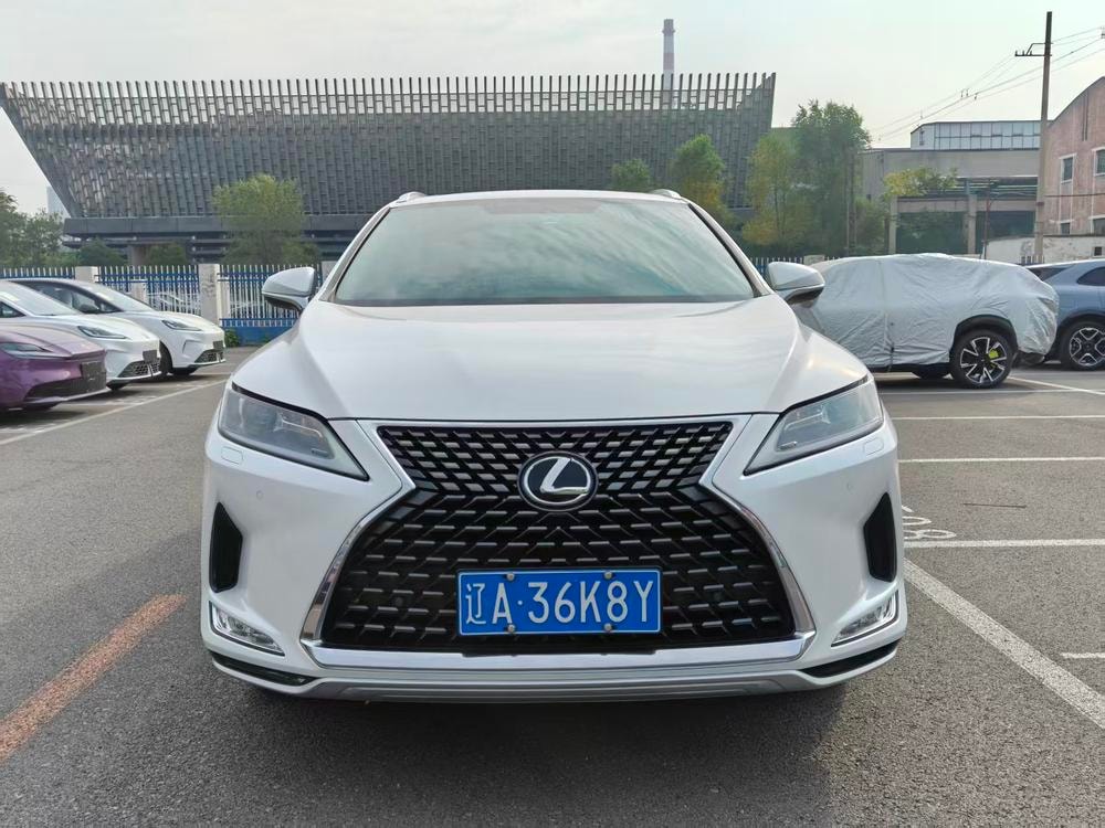 Lexus RX 2020 — фото автомобиля 1