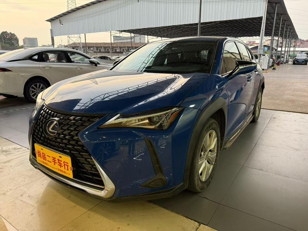 Lexus UX 2019 — фото автомобиля