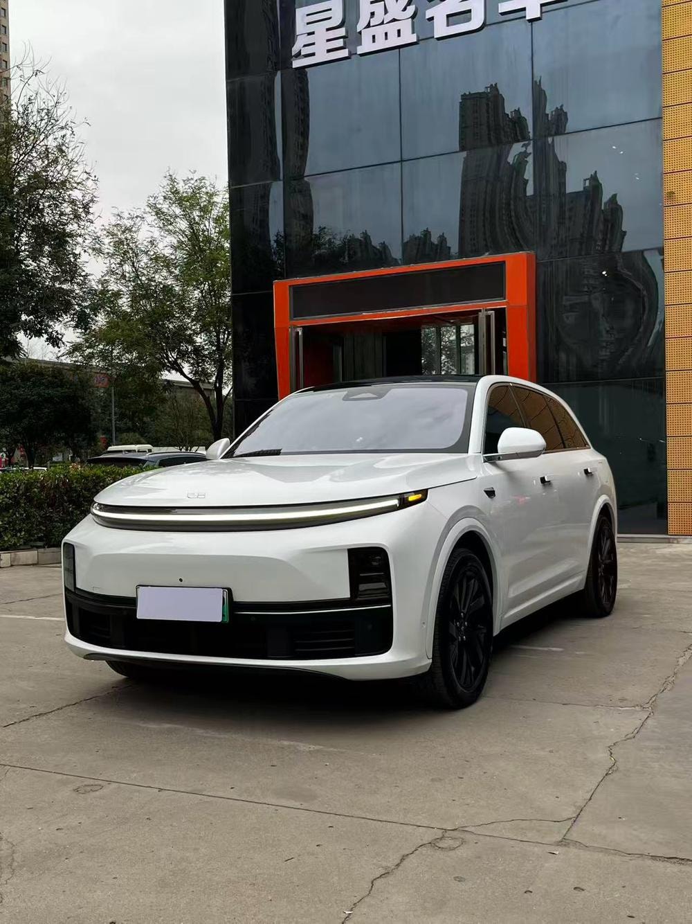 Li Auto L7 2023 — фото автомобиля