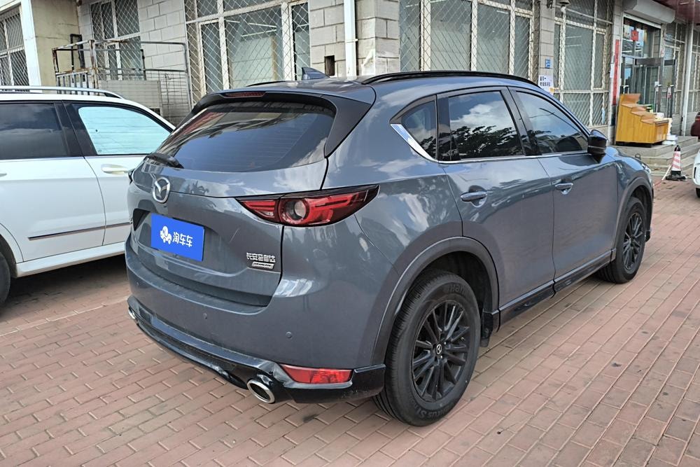 Миниатюра 3