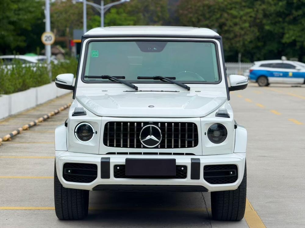 Mercedes-Benz G-Class 2010 — фото автомобиля